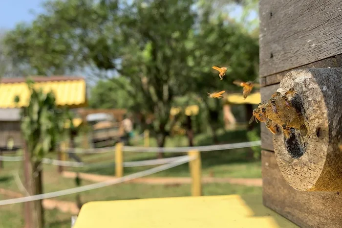 Quinta da Estância / Divulgação Quinta da Estância / Divulgação