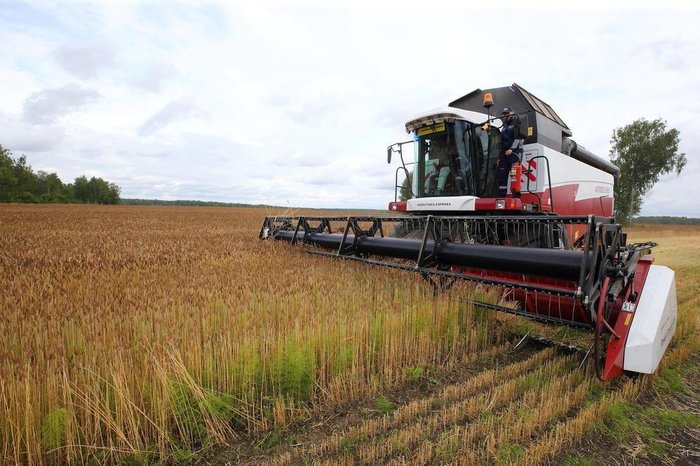 KRAMARENKO IGOR / Divulgação Cognitive Technologies KRAMARENKO IGOR / Divulgação Cognitive Technologies