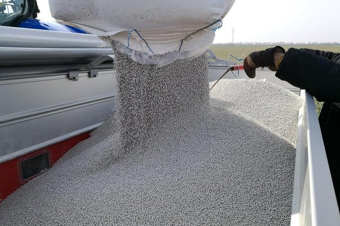 Yara / Divulgação Yara / Divulgação