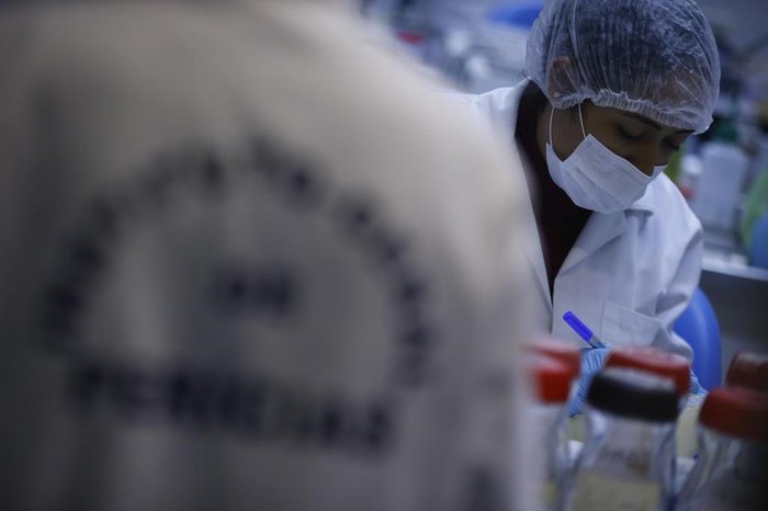 Laboratório irá confrontar DNA de pais em banco genético
