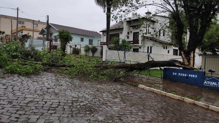 Árvore caída na região central da cidade