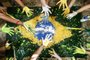  PORTO ALEGRE, RS, BRASIL, 28-09-2018. Com supervisão do artista plástico Aluizio Pedersen, alunos da Escola Branca Diva pintam a bandeira do Brasil. (CARLOS MACEDO/ AGÊNCIA RBS)Indexador: Carlos Macedo