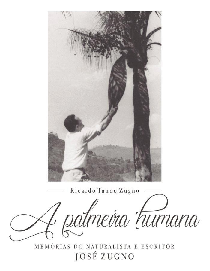 Agência RBS / reprodução Agência RBS / reprodução