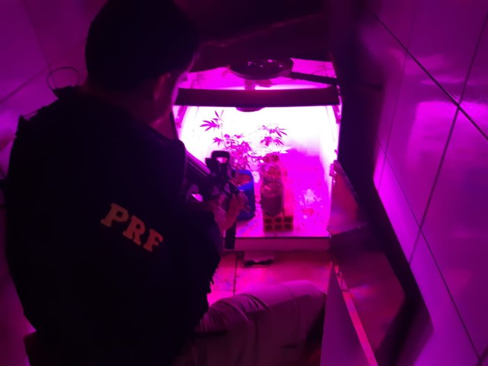 Divulgação / PRF Divulgação / PRF