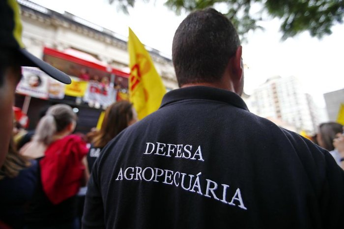 Félix Zucco / Agencia RBS Félix Zucco / Agencia RBS