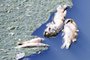  PORTO ALEGRE, RS, BRASIL,03/12/2019- Peixes mortos no Arroio Dilúvio. (FOTOGRAFO: RONALDO BERNARDI / AGENCIA RBS)