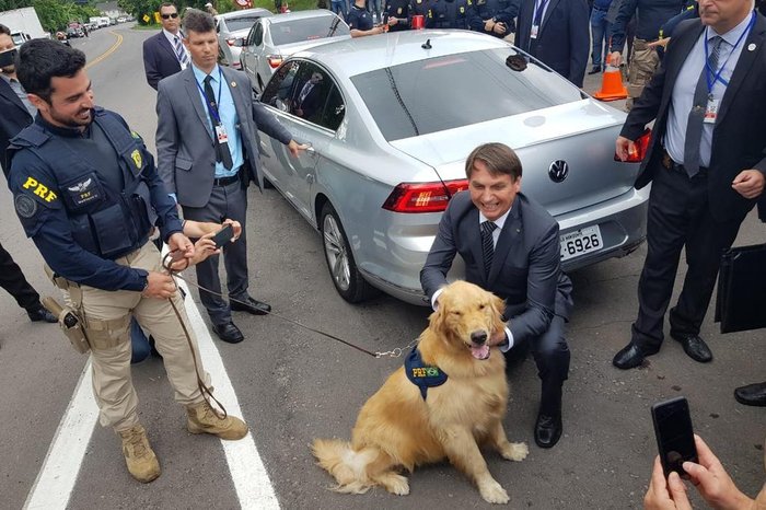 Polícia Rodoviária Federal / Divulgação Polícia Rodoviária Federal / Divulgação