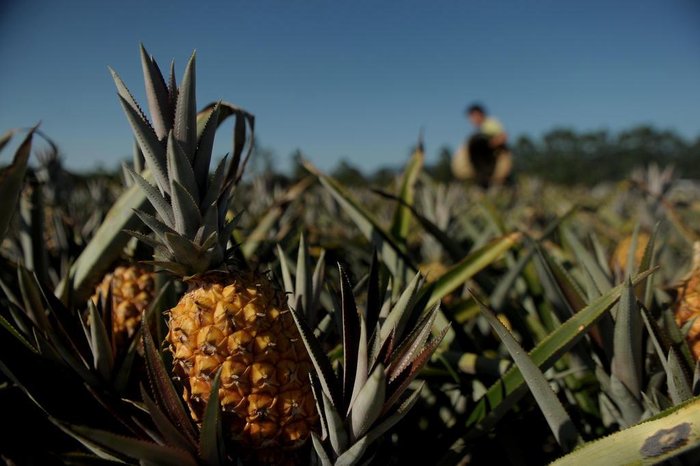 Lucas Amorelli / Agencia RBS Lucas Amorelli / Agencia RBS