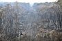 A view of the landscape with burnt trees after a bushfire in Mount Weison in Blue Mountains, some 120 kilometres northwest of Sydney on December 18, 2019. - Australia this week experienced its hottest day on record and the heatwave is expected to worsen, exacerbating an already unprecedented bushfire season, authorities said on December 18. (Photo by Saeed KHAN / AFP)<!-- NICAID(14362761) -->
