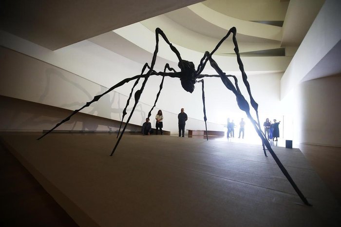 Félix Zucco / Agencia RBS Félix Zucco / Agencia RBS