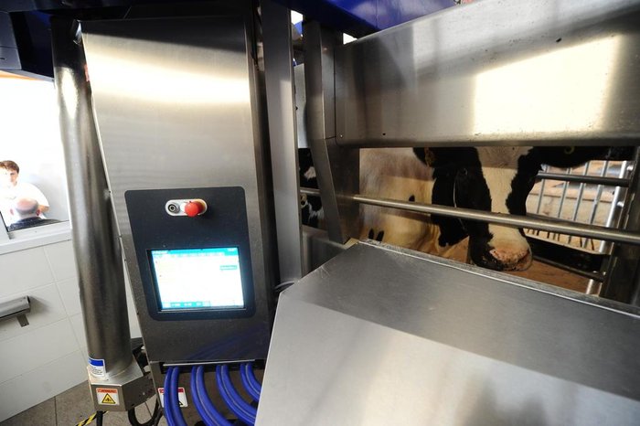 Ordenhadeira robotizada fica 24h à disposição das vacas