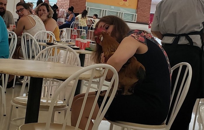 Luiz Caldas Milano Jr. Luiz Caldas Milano Jr.