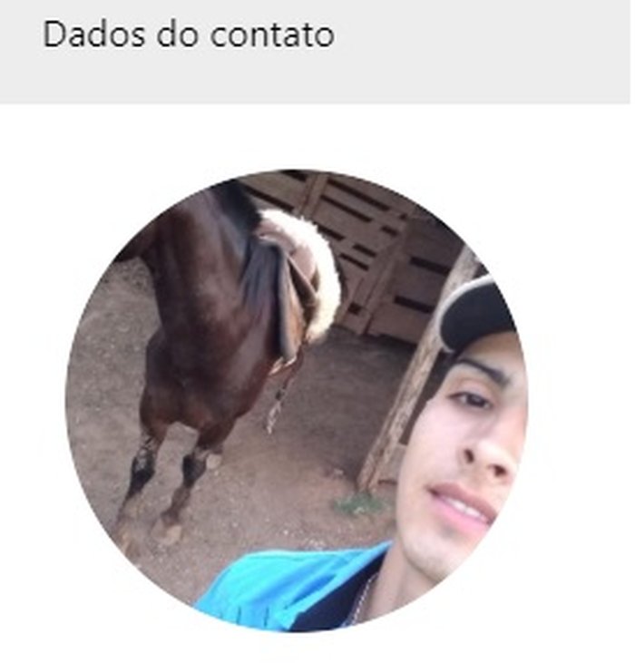 Reprodução Reprodução