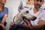 Aberta a agenda de entrevistas para adoção do Tintim, cão abandonado duas vezes no mesmo dia em São Leopoldo<!-- NICAID(14378648) -->
