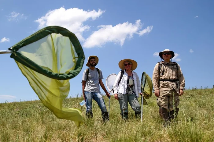 Fernando Gomes / Agencia RBS Fernando Gomes / Agencia RBS