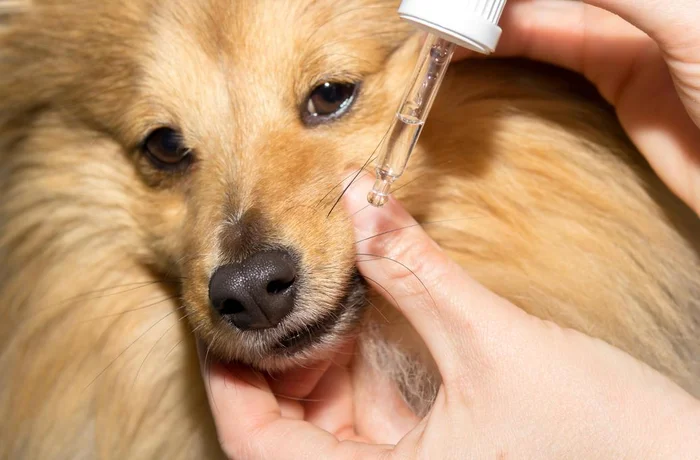 Katja / stock.adobe.com Katja / stock.adobe.com