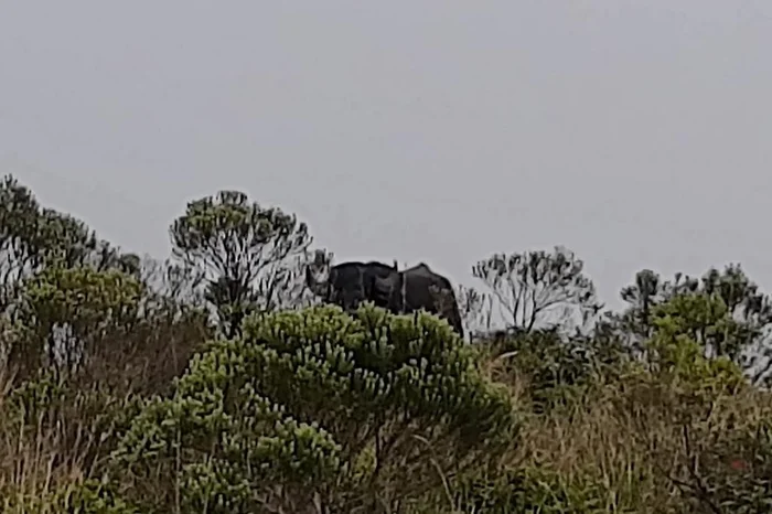 Douglas Machado / Divulgação Douglas Machado / Divulgação