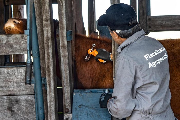 Fernando Dias / Secretaria da Agricultura/ Divulgação Fernando Dias / Secretaria da Agricultura/ Divulgação