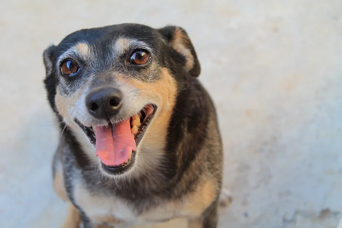 AmandaOshiro / adobe.stock.com AmandaOshiro / adobe.stock.com