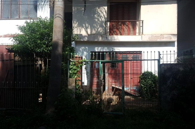 Voluntários promovem mutirão para ajudar idosa de 80 anos que cuida de cães e gatos em Caxias Voluntários promovem mutirão para ajudar idosa de 80 anos que cuida de cães e gatos em Caxias