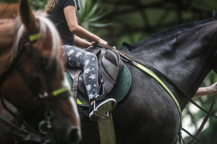 Crianças em contato com os cavalos no 4º RPMon