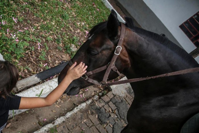 Crianças em contato com os cavalos no 4º RPMon