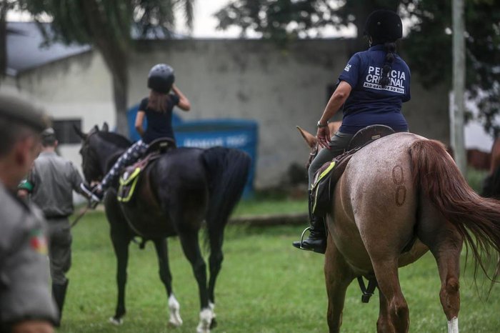 Crianças em contato com os cavalos no 4º RPMon