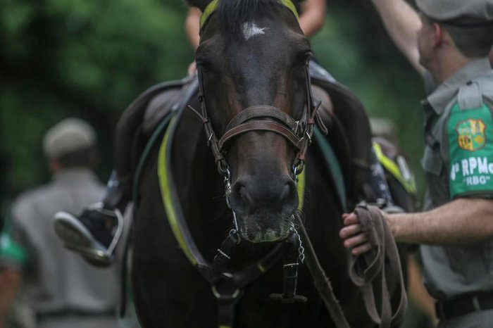 Crianças em contato com cavalos no 4º RPMon