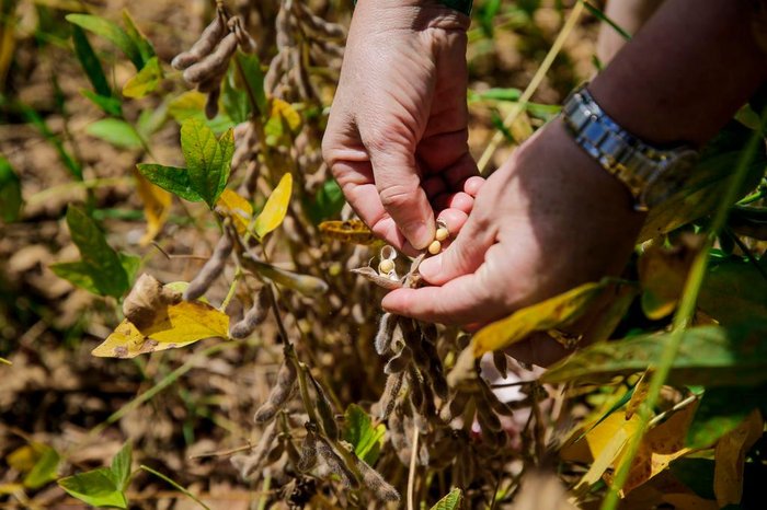 Omar Freitas / Agencia RBS Omar Freitas / Agencia RBS