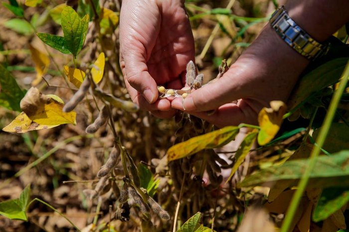 Omar Freitas / Agencia RBS Omar Freitas / Agencia RBS