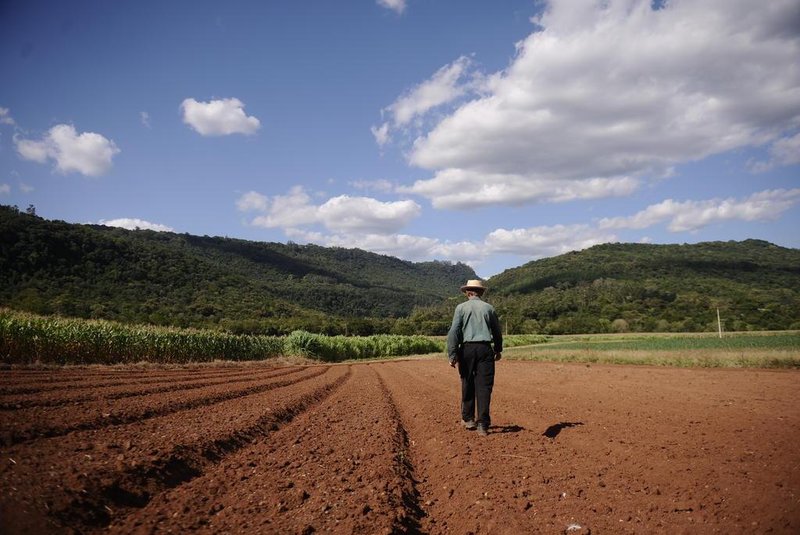  SANTA TEREZA, RS, BRASIL (05/03/2020)Agricultores da Serra calculam os prejuízos da seca. NA FOTO, Agricultores da Serra calculam os prejuízos da seca. Na foto, o agricultor Vicente Ramus, que ainda espera a chuva para plantar suas verduras.  (Antonio Valiente/Agêcia RBS)<!-- NICAID(14441974) -->