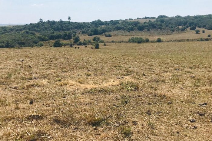 Alex Silveira / Arquivo pessoal Alex Silveira / Arquivo pessoal