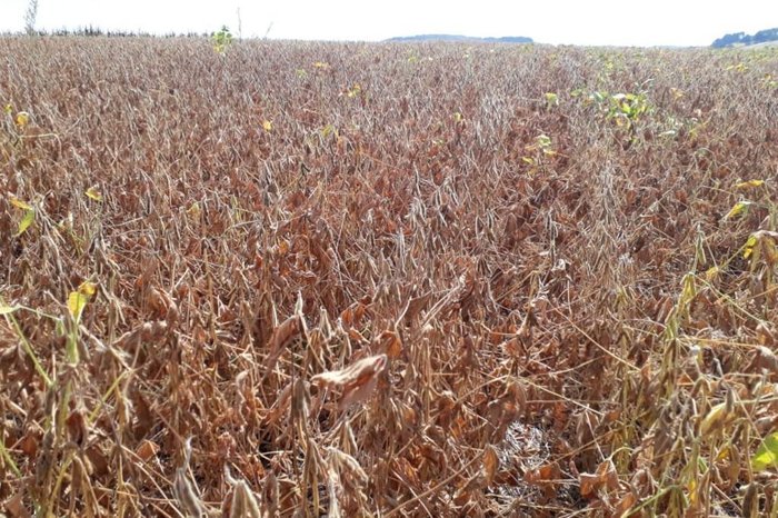 Felipe Lorensini / Divulgação/Ematur Felipe Lorensini / Divulgação/Ematur