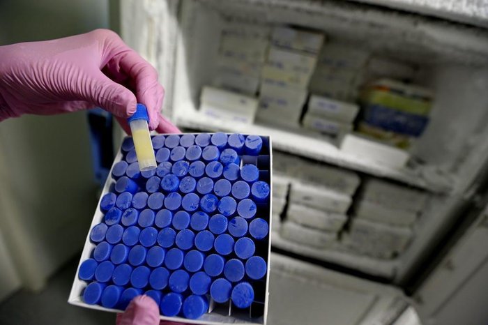 Lauro Alves / Agencia RBS Lauro Alves / Agencia RBS