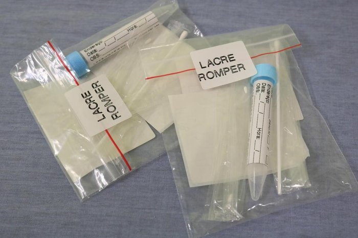 Andréia Copini / SMS / Divulgação Andréia Copini / SMS / Divulgação