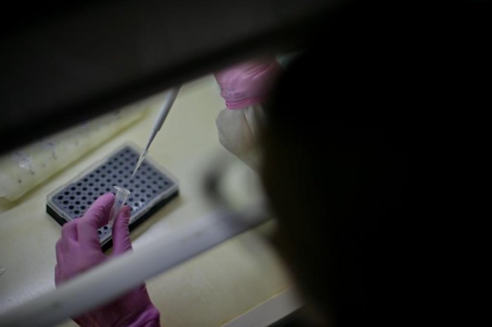 Lauro Alves / Agencia RBS Lauro Alves / Agencia RBS