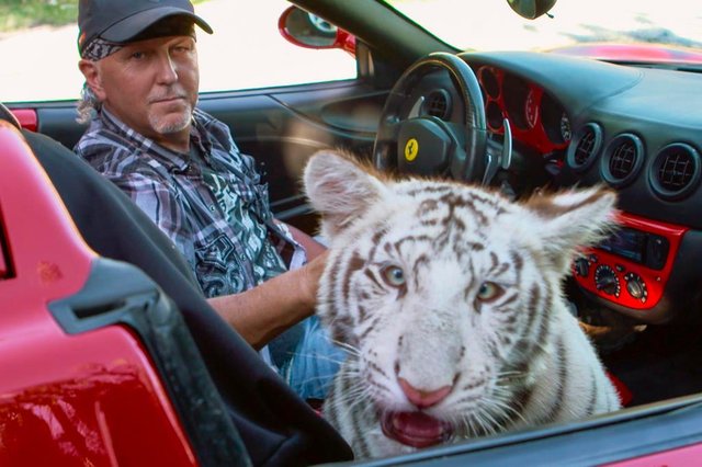 A Máfia dos Tigres<!-- NICAID(14470367) --> A Máfia dos Tigres<!-- NICAID(14470367) -->