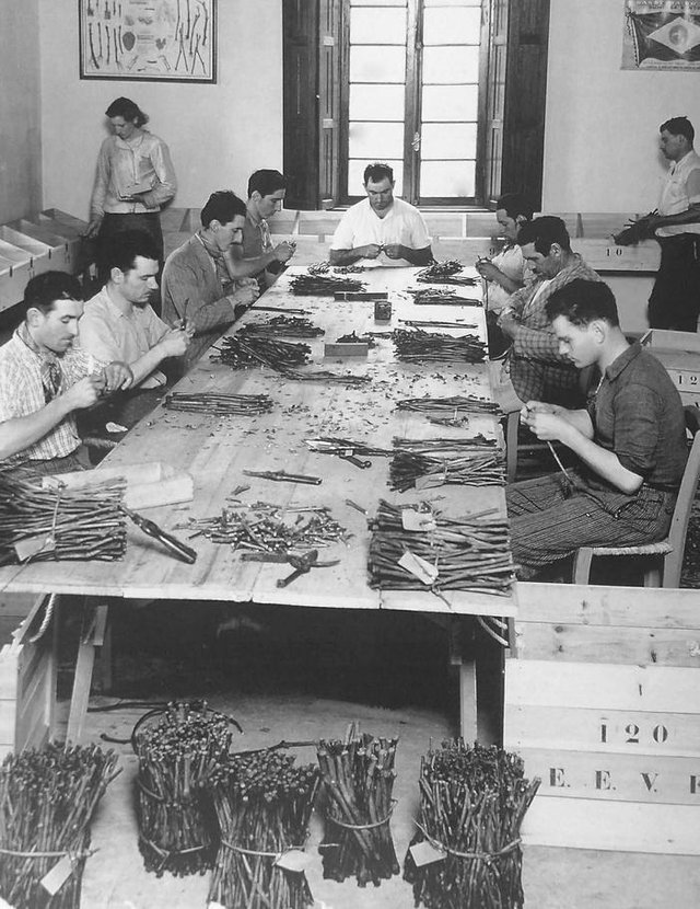 Funcionários da Estação Experimental de Viticultura e Enologia no preparo dos enxertos para videiras, na década de 1930.<!-- NICAID(14486621) --> Funcionários da Estação Experimental de Viticultura e Enologia no preparo dos enxertos para videiras, na década de 1930.<!-- NICAID(14486621) -->