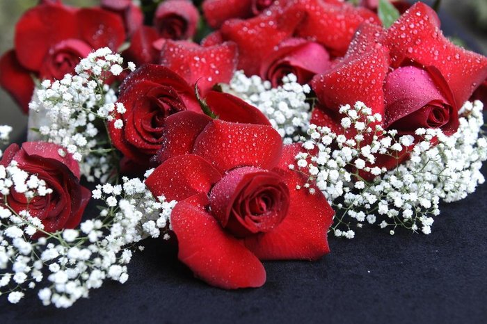 Daniela Xu / Agencia RBS Daniela Xu / Agencia RBS