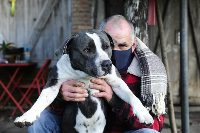 Parceria: cachorro Thor não sai do lado do companheiro humano