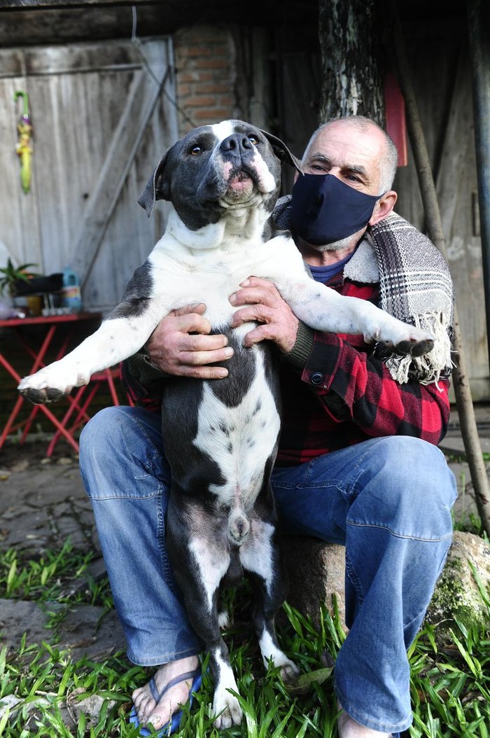 Parceria: cachorro Thor não sai do lado do companheiro humano