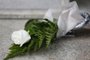 PORTO ALEGRE, RS, BRASIL, 01-11-2016: Flor em sepultura no cemitério da Santa Casa na véspera do Dia de Finados. (Foto: Mateus Bruxel / Agência RBS)<!-- NICAID(12538765) -->