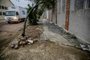  PORTO ALEGRE, RS, BRASIL - 14/08/2020A situação das calçadas do bairro Floresta, depois de obras da Dmae<!-- NICAID(14568537) -->