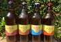 Casal que fabricava cerveja artesanal em casa pretende lançar marca ao mercado