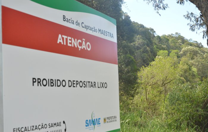 Natalí Gubert / Samae, Divulgação Natalí Gubert / Samae, Divulgação