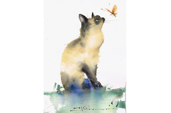 Antonio Giacomin Antonio Giacomin