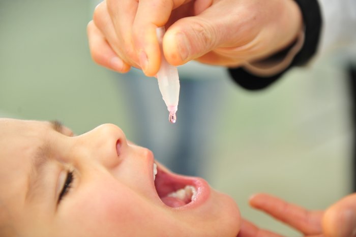 Andréia Copini / Divulgação Andréia Copini / Divulgação