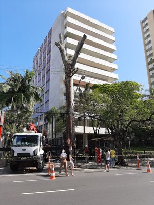 Paulo Brack / Arquivo Pessoal Paulo Brack / Arquivo Pessoal