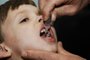 Campanha de vacinação contra a pólio e multivacinação são prorrogadas até 21 de novembro<!-- NICAID(14630405) -->