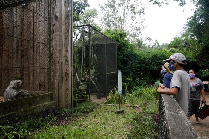 Uso de máscara é obrigatório durante todo o passeio